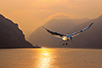 Morning in the Đerdap Gorge (Photo: Dragan Bosnić)